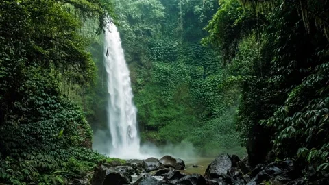 Powerful waterfall cascading down a lush, green cliffside. Stock Footage 297846348