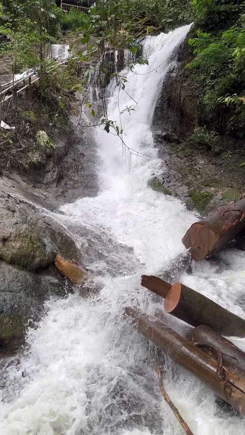 Powerful Waterfall Cascading Down Stream, Lush Jungle, Vertical View Stock Footage 325647132