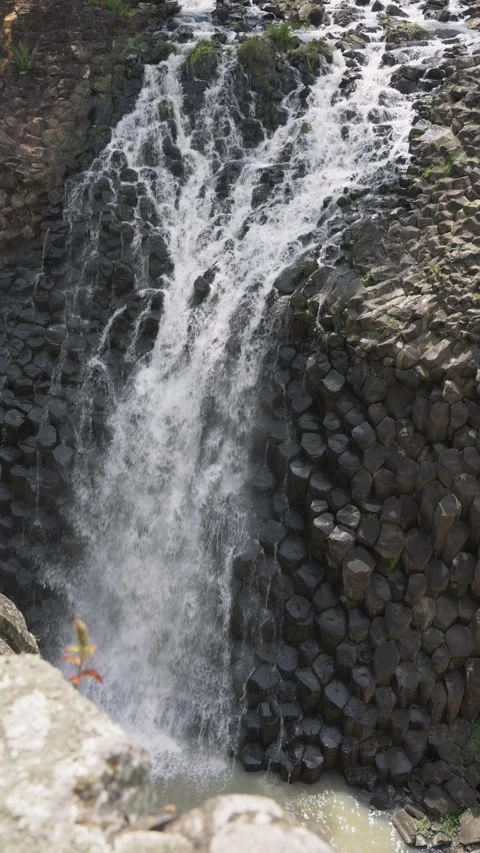 Powerful waterfall cascading down unique basaltic rock formations 스톡 동영상 342041701