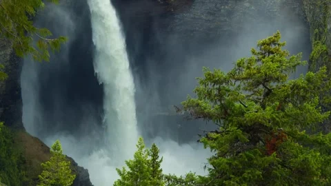 Powerful waterfall cascading into mist framed by pine trees Stock Footage 344137708