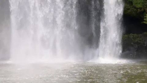 Powerful waterfall cascading into pool. RAINBOW FALLS, KERIKERI, NZ Stock Footage 300306031