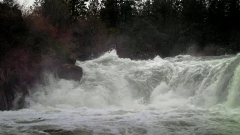 Powerful Waterfall- Dillon Falls outside of Bend OR Video stock 83201714