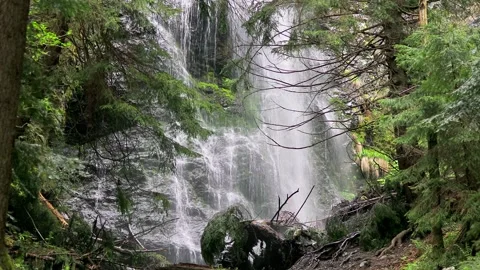 Powerful Waterfall Dropping from a Massive Rock in a Dense, Untamed Forest .. Stock Footage 287715229