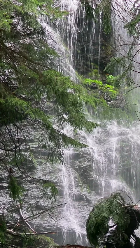 Powerful Waterfall Dropping from a Massive Rock in a Dense, Untamed Forest .. Stock Footage 293453696