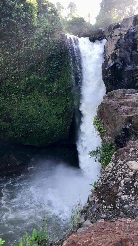 Powerful waterfall falling from cliff with mist tropical nature landscape Bali 스톡 동영상 332692745