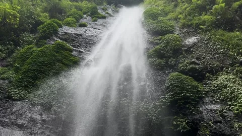 Powerful Waterfall Flowing Down Cliff, Tropical Jungle, Low Angle Tilt Down Video stock 324851230