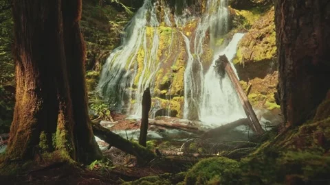 Powerful Waterfall Flowing Down in a Forest – Majestic Nature Scene Video stock 315098593