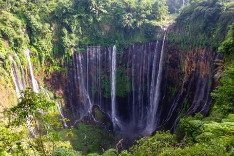 Powerful Waterfall Flowing Through Lush Canyon Stock Photos