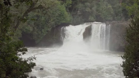 Powerful Waterfall in Lush Forest Stock Footage 303015221