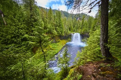Powerful Waterfall in Lush Forest with Tranquil River Aerial View Fotos Stock