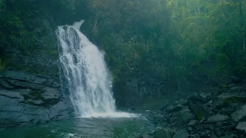 Powerful Waterfall In a lush tropical Rainforest Vídeo Stock 196650731