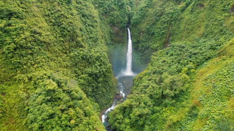 Powerful waterfall plunging through deep green jungle valley in tropical forest Stock Footage 341445255