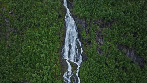 Powerful waterfall surrounded by dense forest at Flesefossen, Norway. Stock Footage 328132526