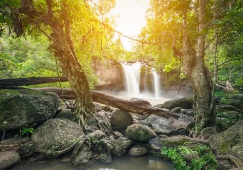 Powerful waterfall surrounded by trees and rocks Stock Photos