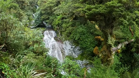 Powerful waterfalls cascading down the cliffs on the Milford Track in Fiord.. Stock Footage 295246700