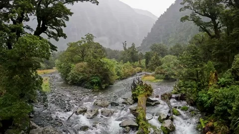 Powerful waterfalls cascading down the cliffs on the Milford Track in Fiord.. Stock Footage 295246793