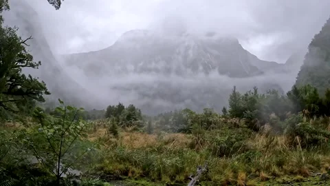 Powerful waterfalls cascading down the cliffs on the Milford Track in Fiord.. Stock Footage 295246796