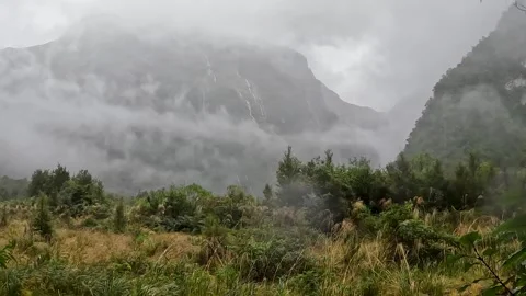 Powerful waterfalls cascading down the cliffs on the Milford Track in Fiord.. Stock Footage 295246967