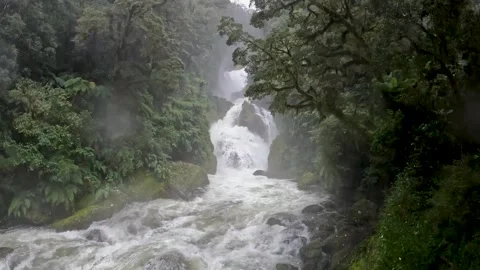 Powerful waterfalls cascading down the cliffs on the Milford Track in Fiord.. Stock Footage 295247423