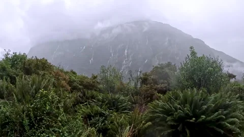 Powerful waterfalls cascading down the cliffs on the Milford Track in Fiord.. Stock Footage 295247466