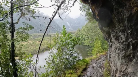Powerful waterfalls cascading down the cliffs on the Milford Track in Fiord.. Stock Footage 295247494