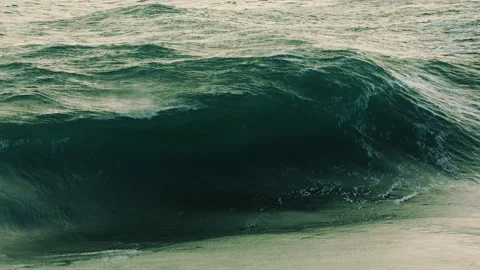 Powerful Wave with Birds flying through the foreground Stock Footage 136038013