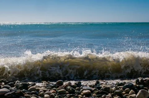 Powerful wave off the coast. Stock Photos