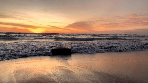 Powerful waves splashing on a tree trunk under sunset light in the beach Stock Footage 125842472