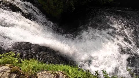 Powerful White Water Chute in Forest Stream, Izu, Japan (4K) Stock Footage 341364860