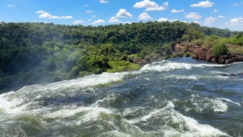Powerful white water rapids at the top of a massive waterfall 库存影片 337063472