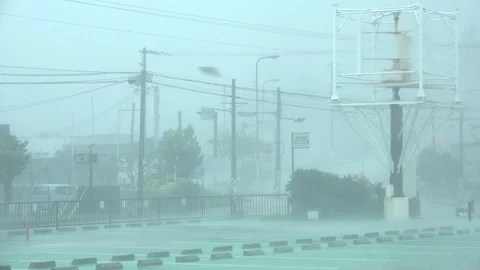 Powerful Wind In Hurricane Eyewall Sweeps Across Street Stock Footage 96183674