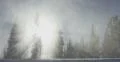 Powerful Winds Blow Snow Through Forest of Sun Ray Shadows, Red Camera 4k or 4k+ Resolution