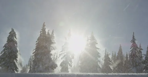 Powerful Winds Blow Snow Through Forest of Sun Ray Shadows, Red Camera Stock-Footage 59682673