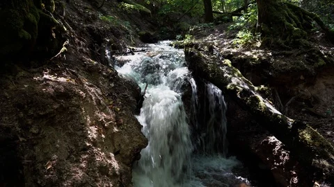 Powerfull forest waterfall in Vilsas river Stock Footage 113965356