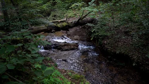 Powerfull panoramic view of Vilsos river coast, Lithuania Stock Footage 113965360