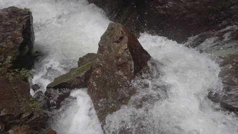 Powerfull stream during rain in jungle forest in Mindo, Ecuador Video stock 128158886