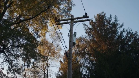 Powerline in the Morning Stock Footage 81492008