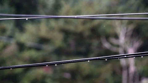 Powerline Rain Drops Stock Footage 78195850