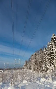 Powerline on a winter forest Stock Photos