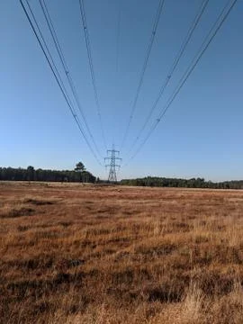 Powerlines Over Grassy Plain Stock Photos