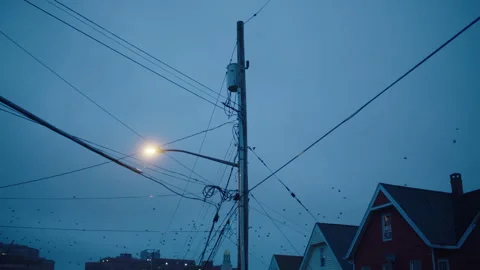 Powerlines in the Rain with Birds Flying By Stock Footage 276382302