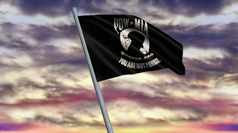 POW/MIA Flag Animation 動画素材 40290418