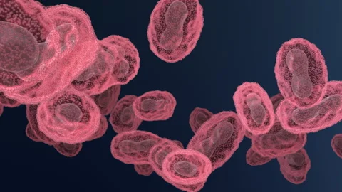 Pox, monkey pox virus flow loop Stock Footage 196735266