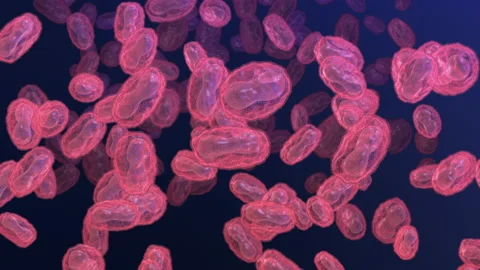 Pox, monkeypox virus, loop animation Stock Footage 196735028