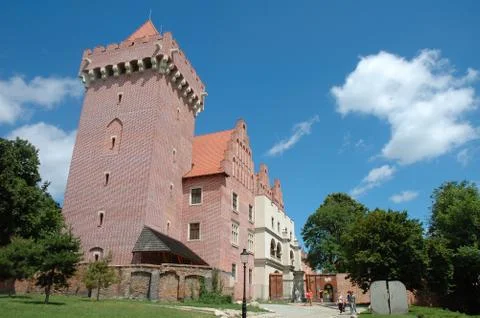 Poznan, Poland - July 13, 2014: Unidentified people at King's Castle in Pozna Stock Photos