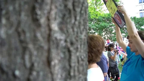 Ppeople at a park protesting against Donald Trump and The NRA Stock Footage 76835865