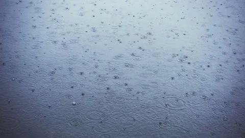 Ppouring Rain In Autumn Видео 80795368