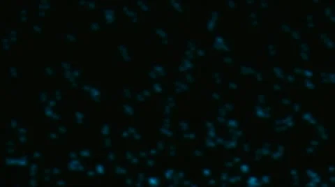 Ppulse bluerise 動画素材 9760947