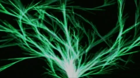 Ppulse green electric tree Stock Footage 9764535