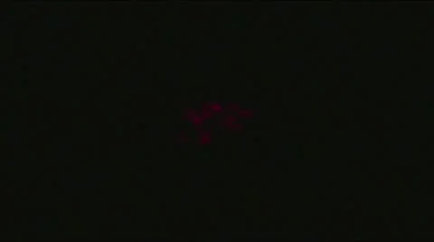 Ppulse multicolor flower field Stockbeeldmateriaal 9770702